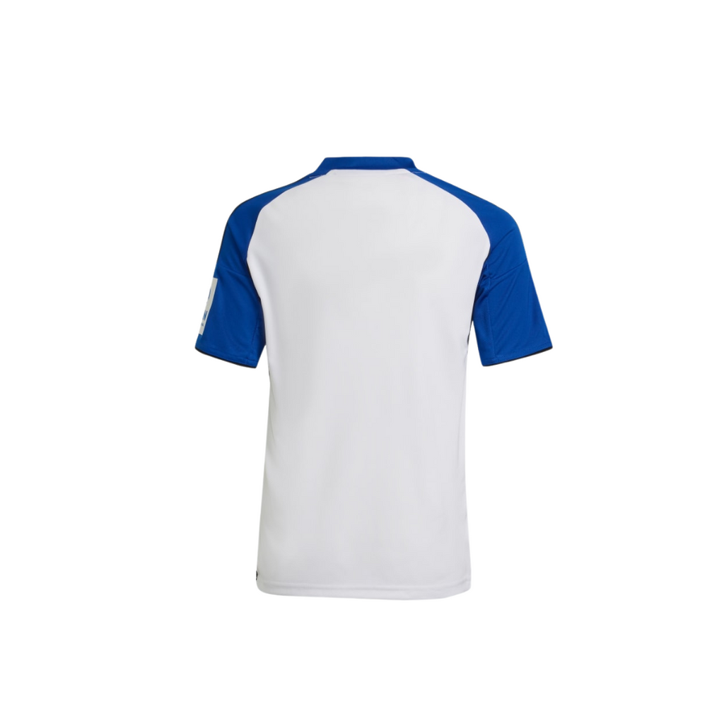 hamburger home kit 25/26 tm